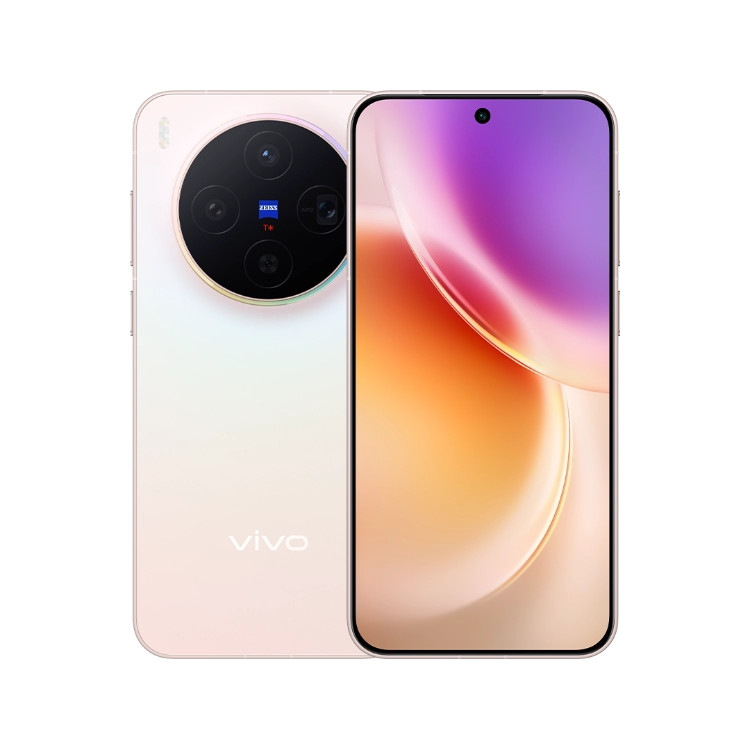 vivo X300