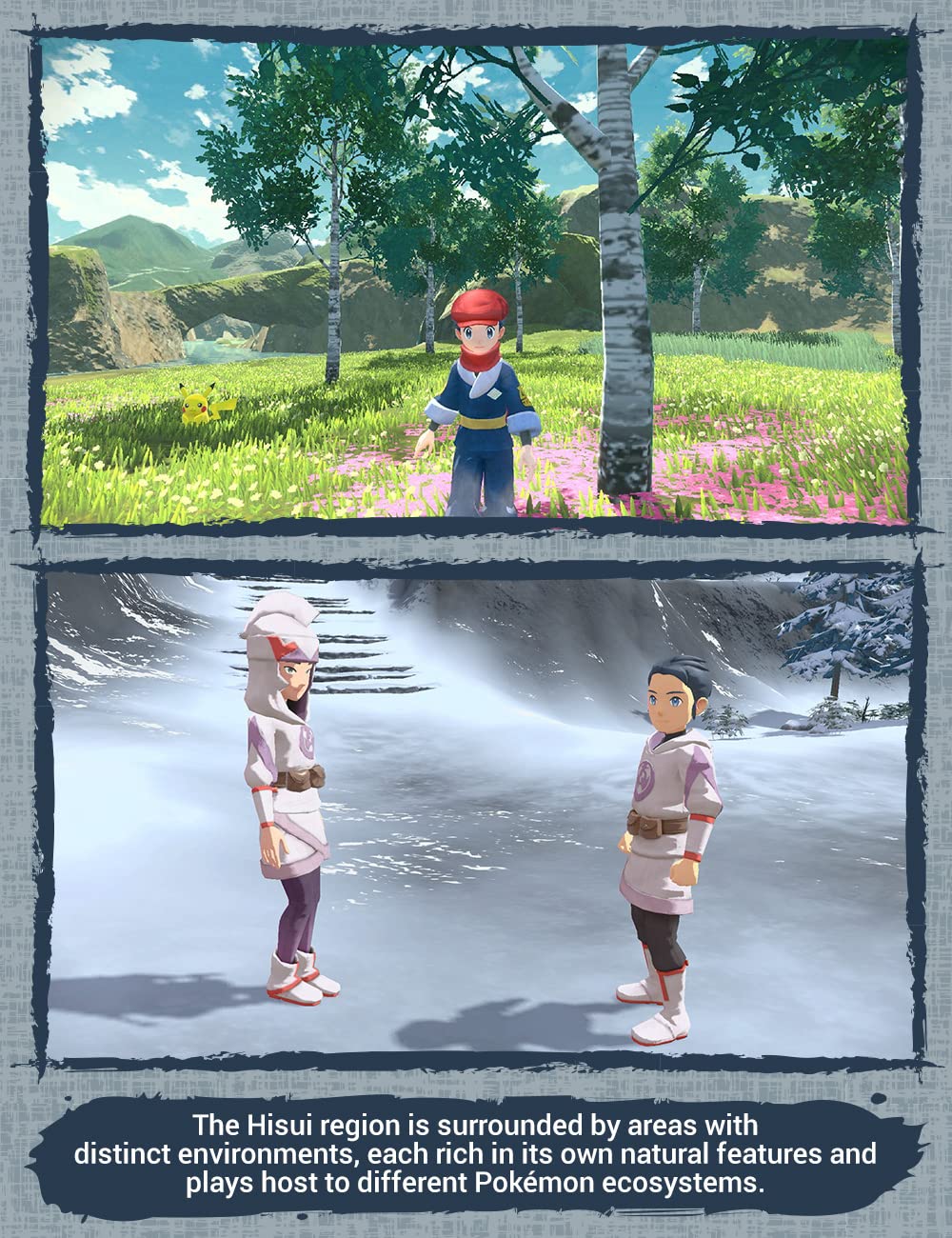 Nintendo Switch Game -  Pokémon Legends Arceus